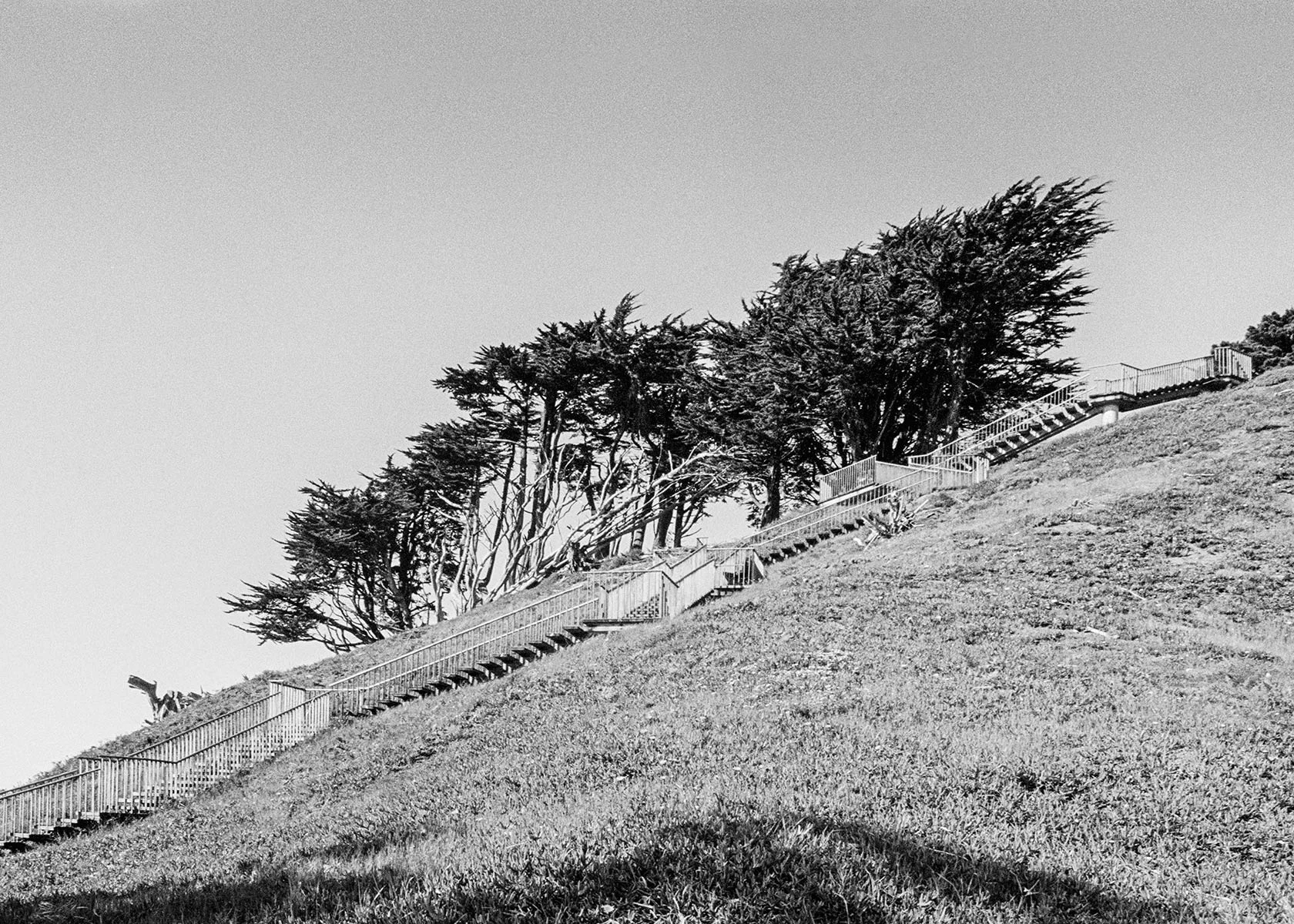 Golden Gate Heights, Study 3