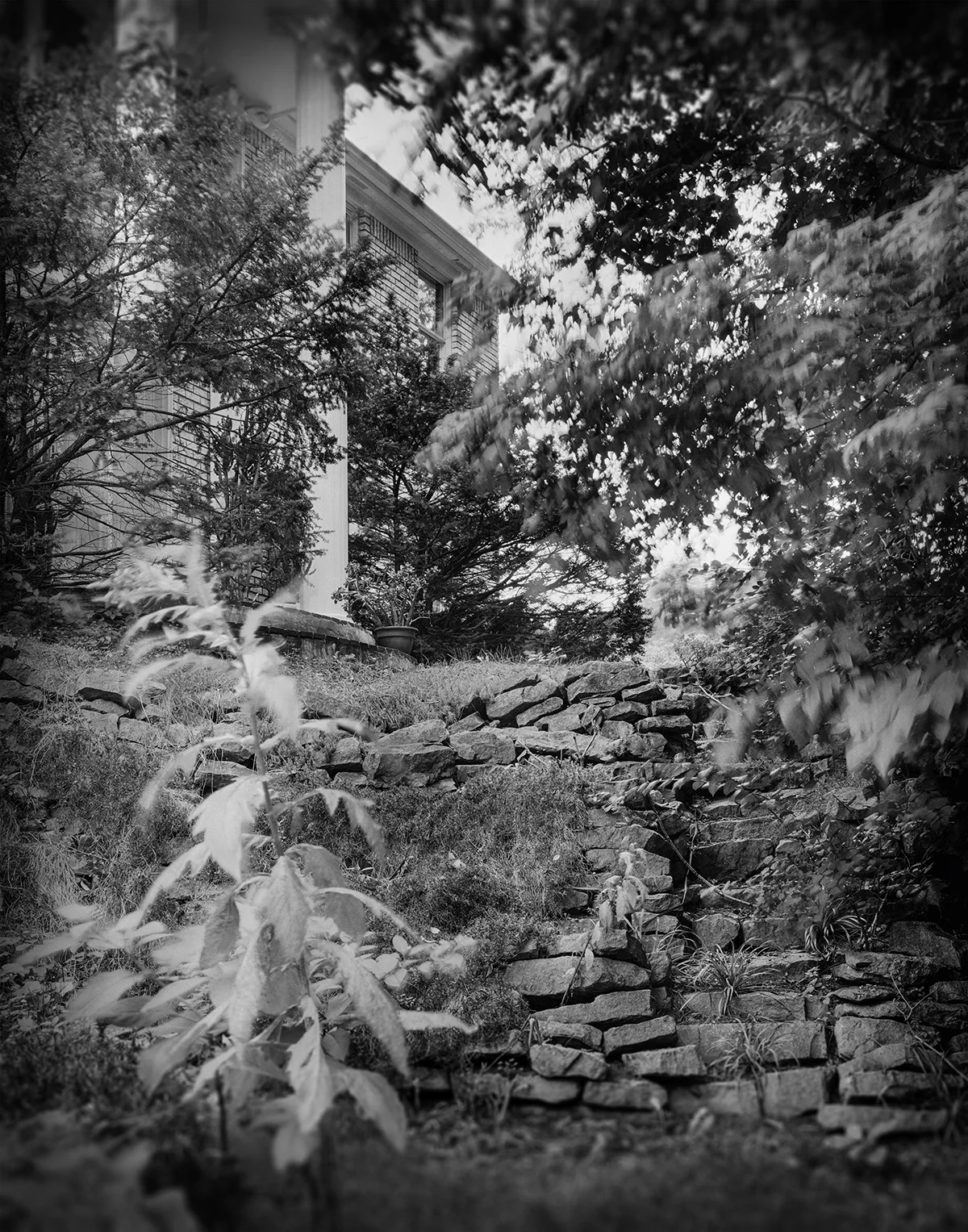 Eden Glen