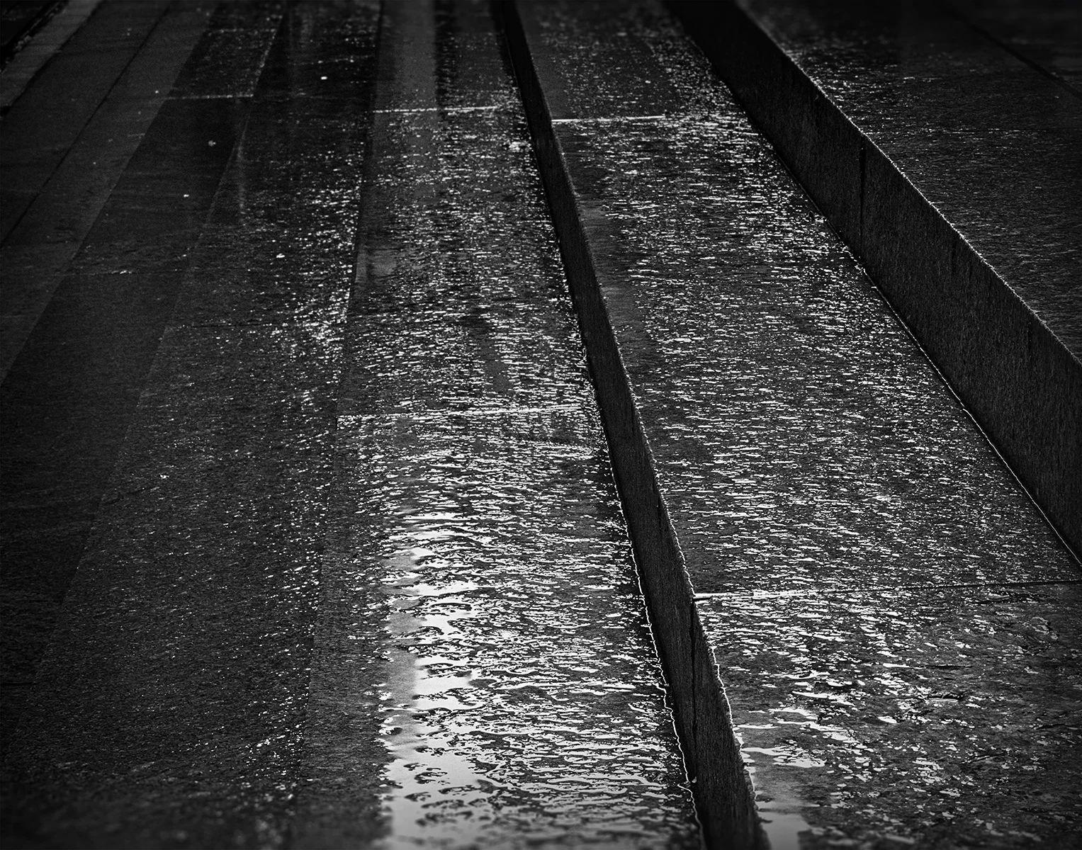Home in the Rain