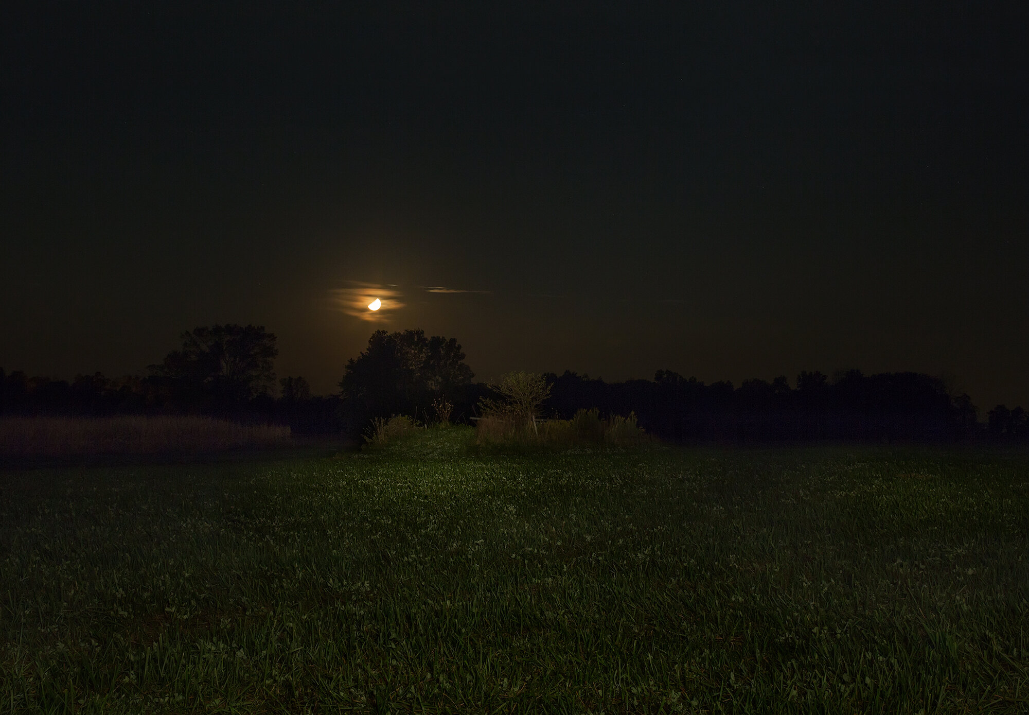 Orange Moon. Adams County, Indiana, 2014