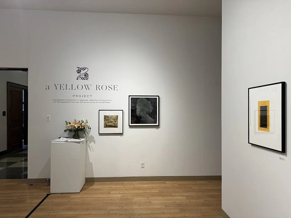 A Yellow Rose Project