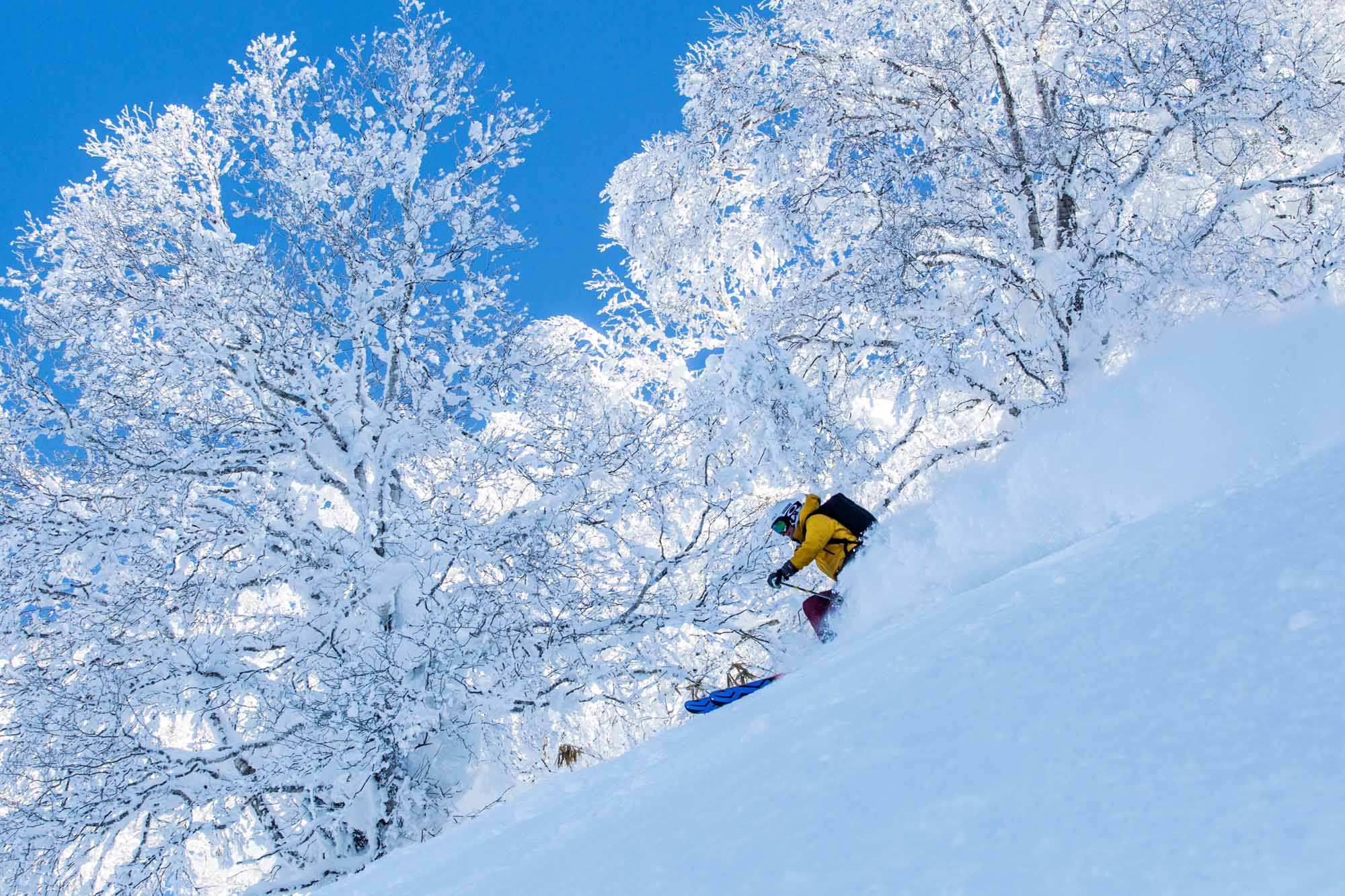 Ski-Japan-18.jpg
