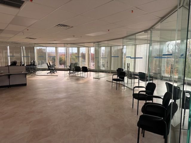 frameless glass partition walls in curved office