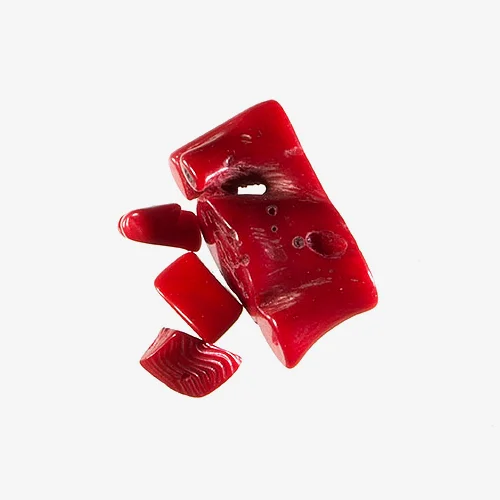 Fossil Coral Material: Fossilized Coral Fossil coral is from the fossilized remains of ancient coral reefs, not harvested from living coral reefs. The color of fossil coral depends on the amount of iron and other minerals in ground water. Red is the most prized color. 