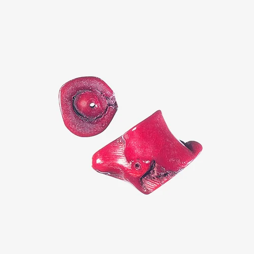 Coral Material: Coral Coral is a natural, hard substance, which is not a mineral, formed by small marine animals and plants at the bottom of the sea. Red coral is the most prized color and it is said to have mysterious and sacred powers. Pictured above is white coral dyed red. 