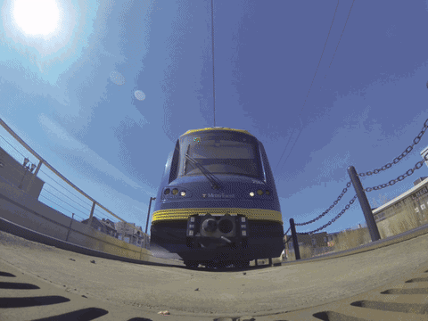 giphy-(5).gif