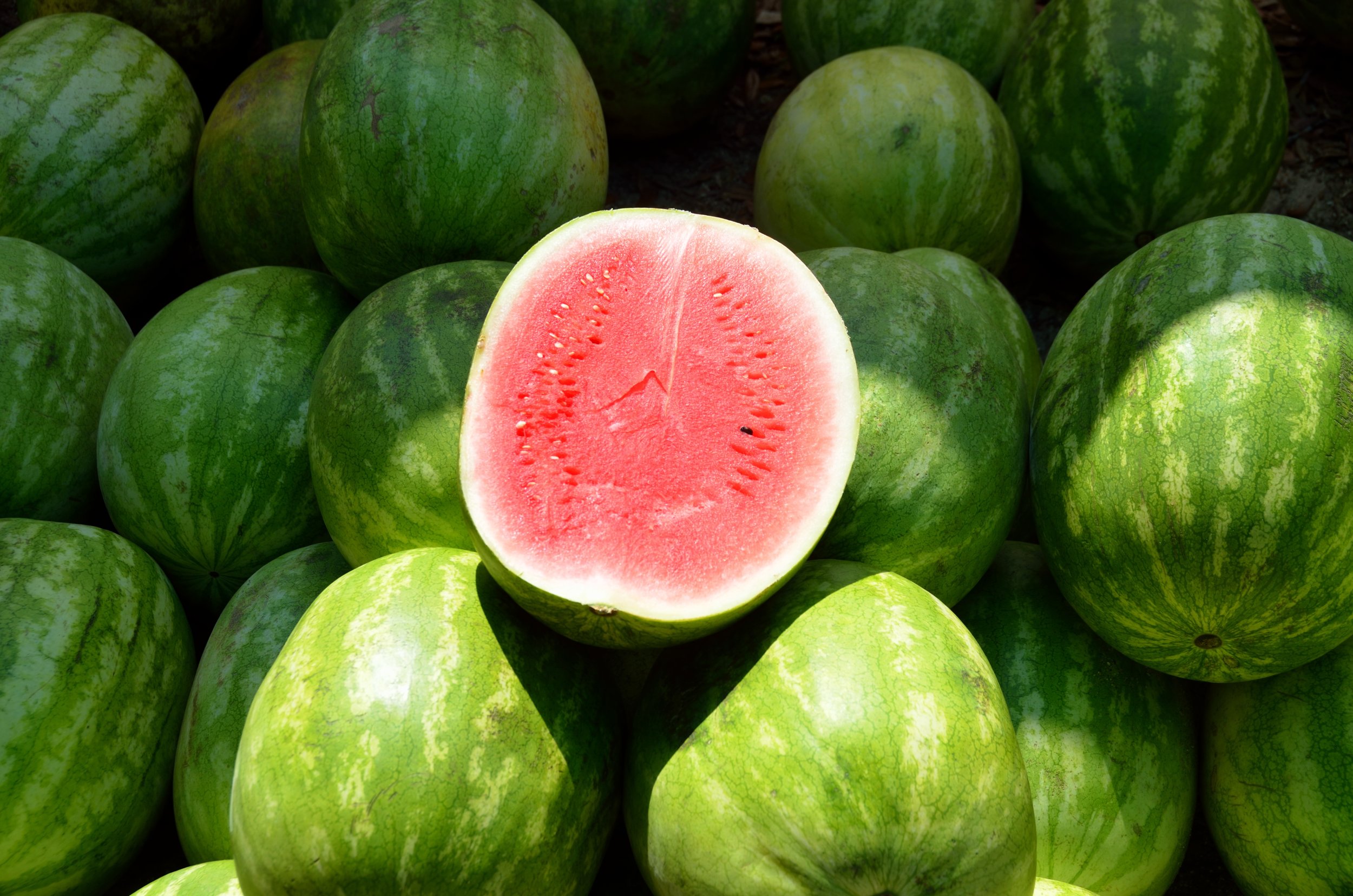 The U.S. Department of Agriculture has awarded the 2017 Outback Strong Summer Lunch Program a Western Region Sunshine Award for Excellence in Community Partnerships. ( Pixabay.com photo )