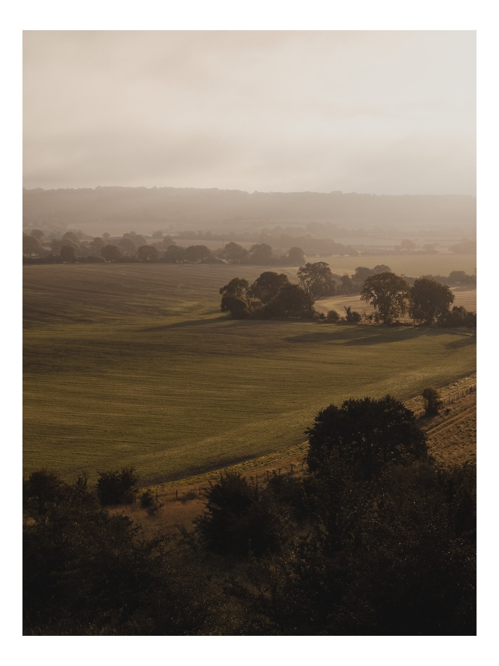 Jamie-Fraser-Photography-The Chiltern Hills-Buckinghamshire-IMG_0121.JPG
