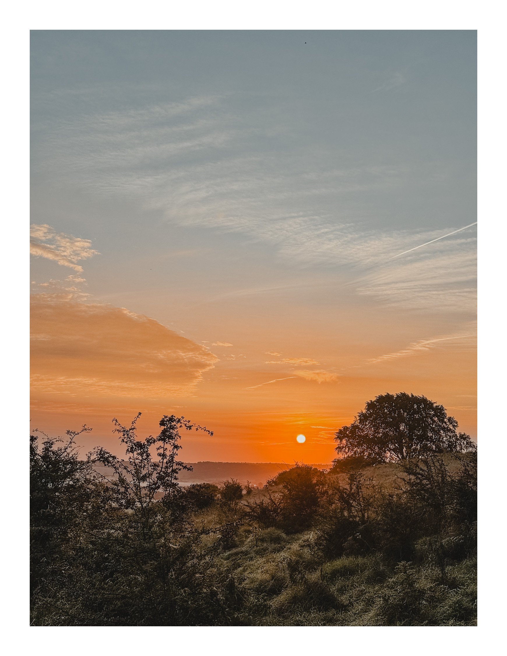 Jamie-Fraser-Photography-The Chiltern Hills-Buckinghamshire-IMG_0847.JPG