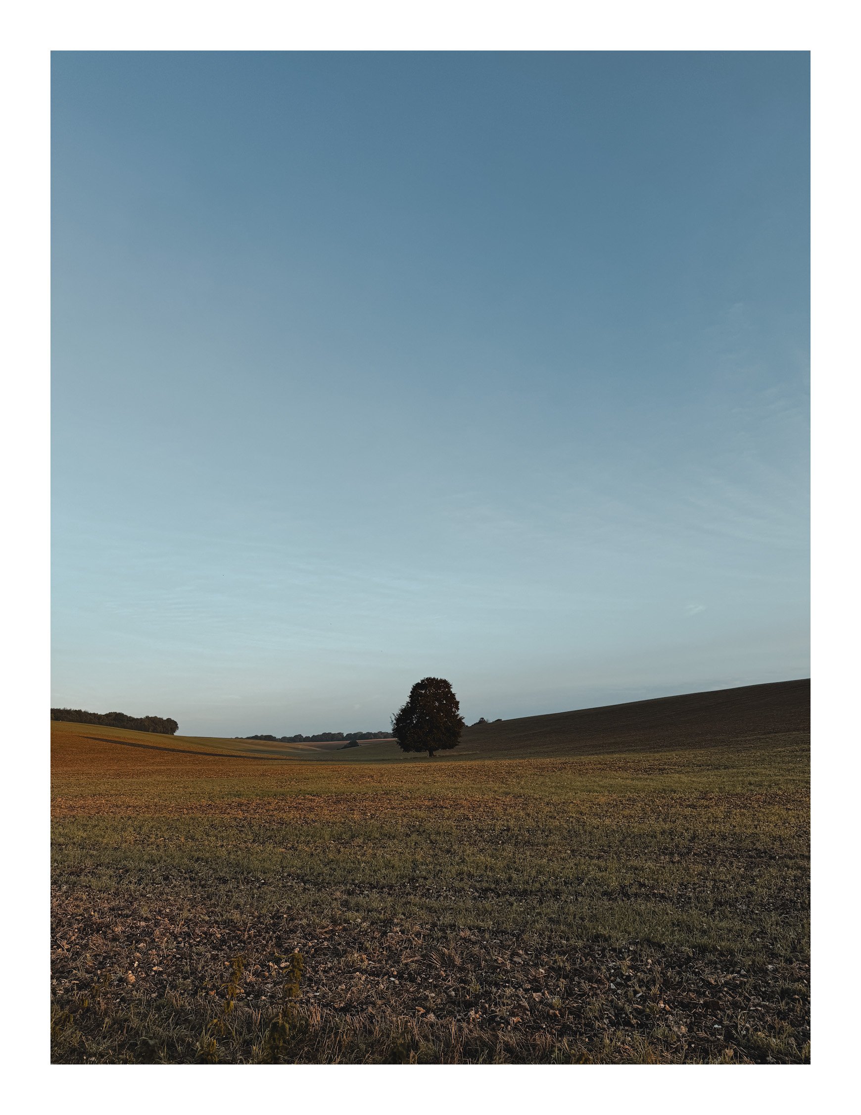 Jamie-Fraser-Photography-The Chiltern Hills-Buckinghamshire-IMG_0848.JPG