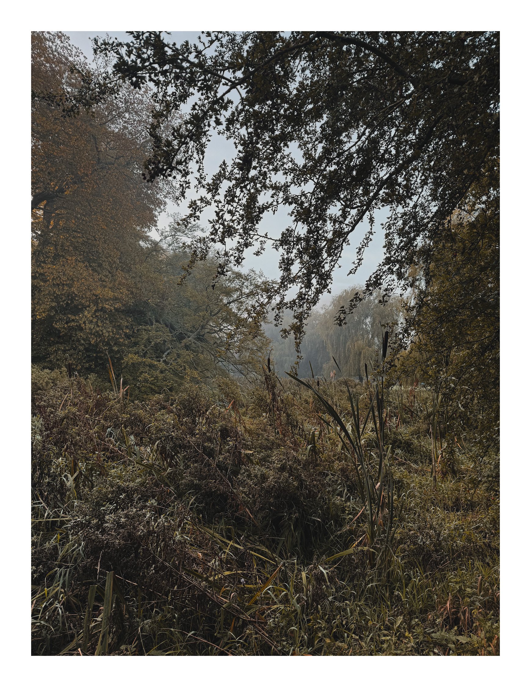 Jamie-Fraser-Photography-The Chiltern Hills-Buckinghamshire-IMG_0849.JPG