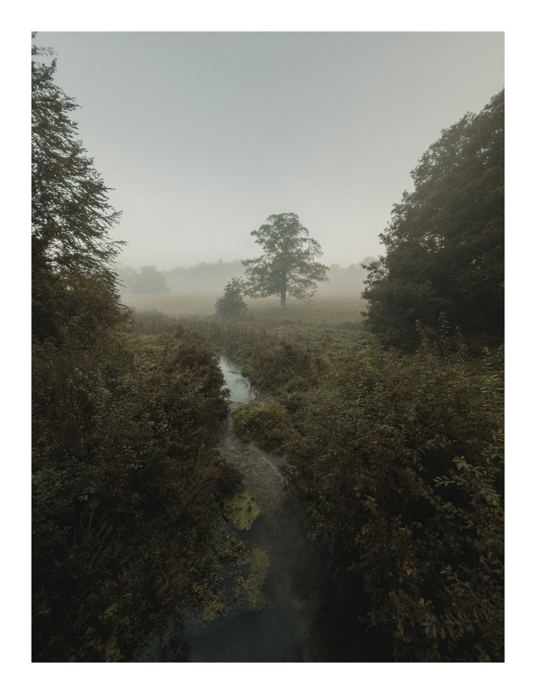 Jamie-Fraser-Photography-The Chiltern Hills-Buckinghamshire-IMG_0850.JPG