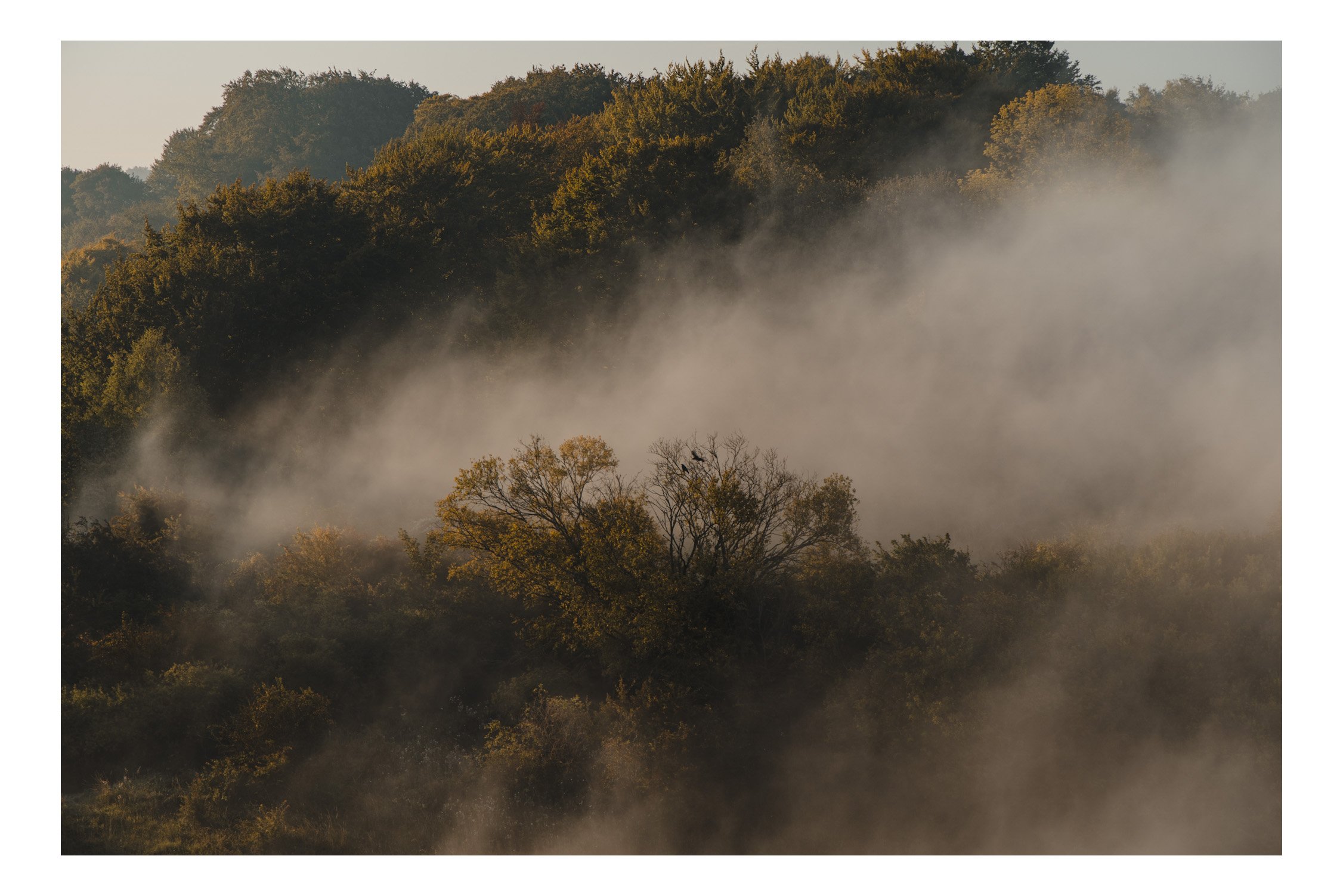 Jamie-Fraser-Photography-The Chiltern Hills-Buckinghamshire-IMG_7902.JPG