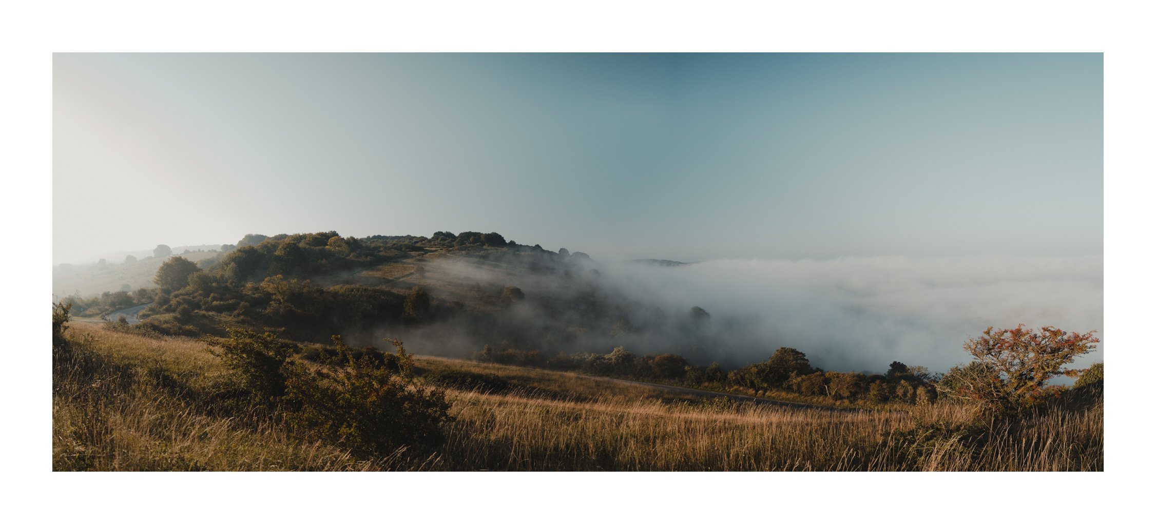 Jamie-Fraser-Photography-The Chiltern Hills-Buckinghamshire-IMG_7904.JPG