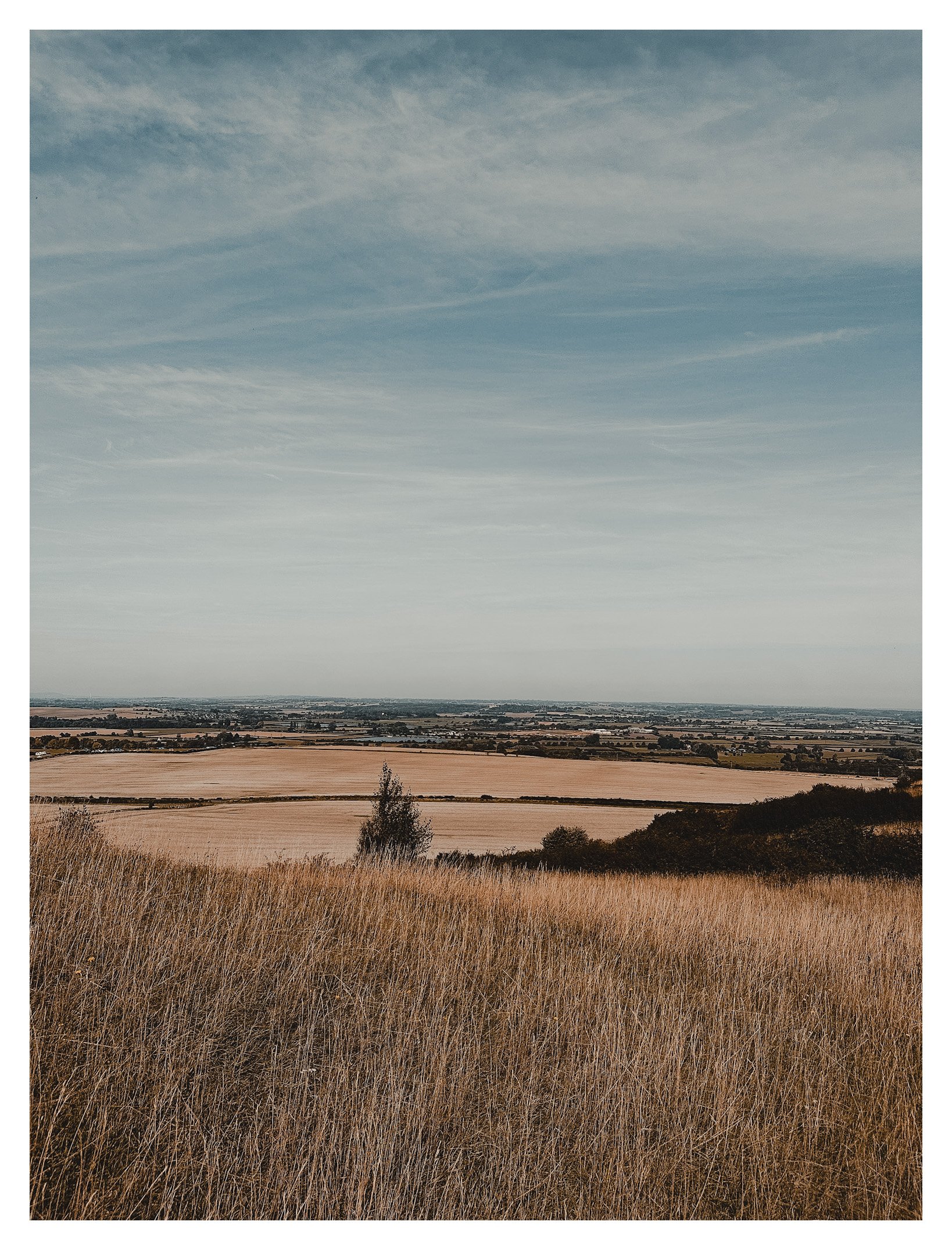 Jamie-Fraser-Photography-The Chiltern Hills-Buckinghamshire-IMG_3861.JPG