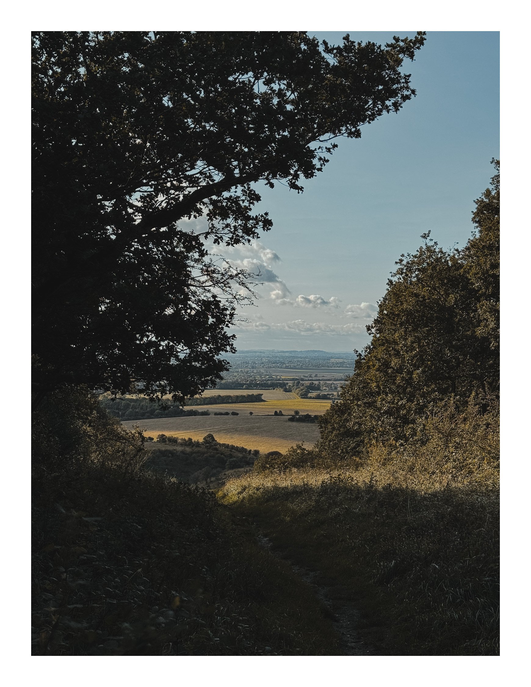 Jamie-Fraser-Photography-The Chiltern Hills-Buckinghamshire-IMG_1202.JPG