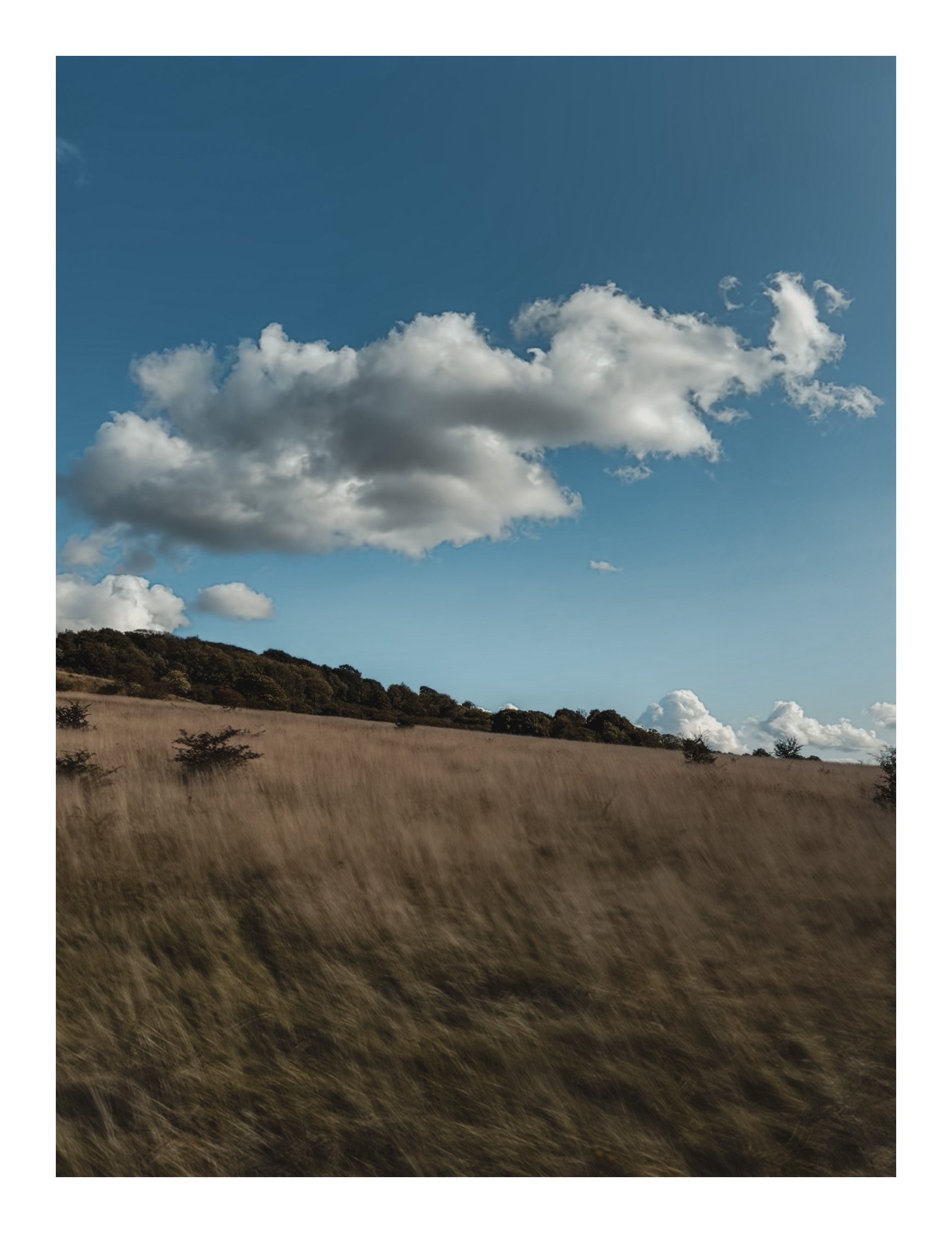 Jamie-Fraser-Photography-The Chiltern Hills-Buckinghamshire-IMG_1203.JPG