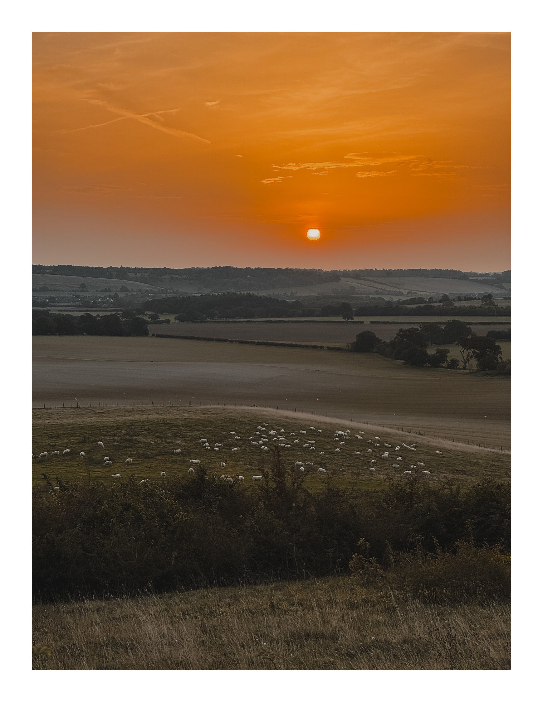 Jamie-Fraser-Photography-The Chiltern Hills-Buckinghamshire-IMG_1375.JPG