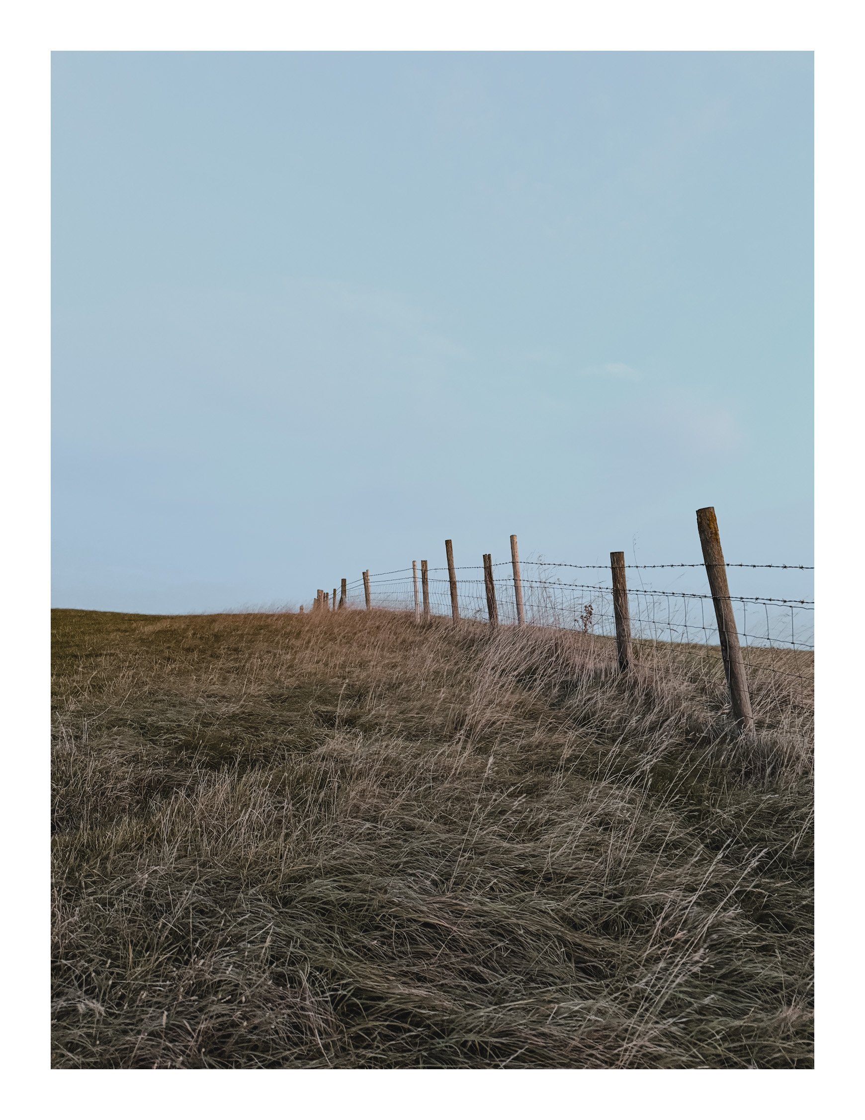 Jamie-Fraser-Photography-The Chiltern Hills-Buckinghamshire-IMG_1376.JPG