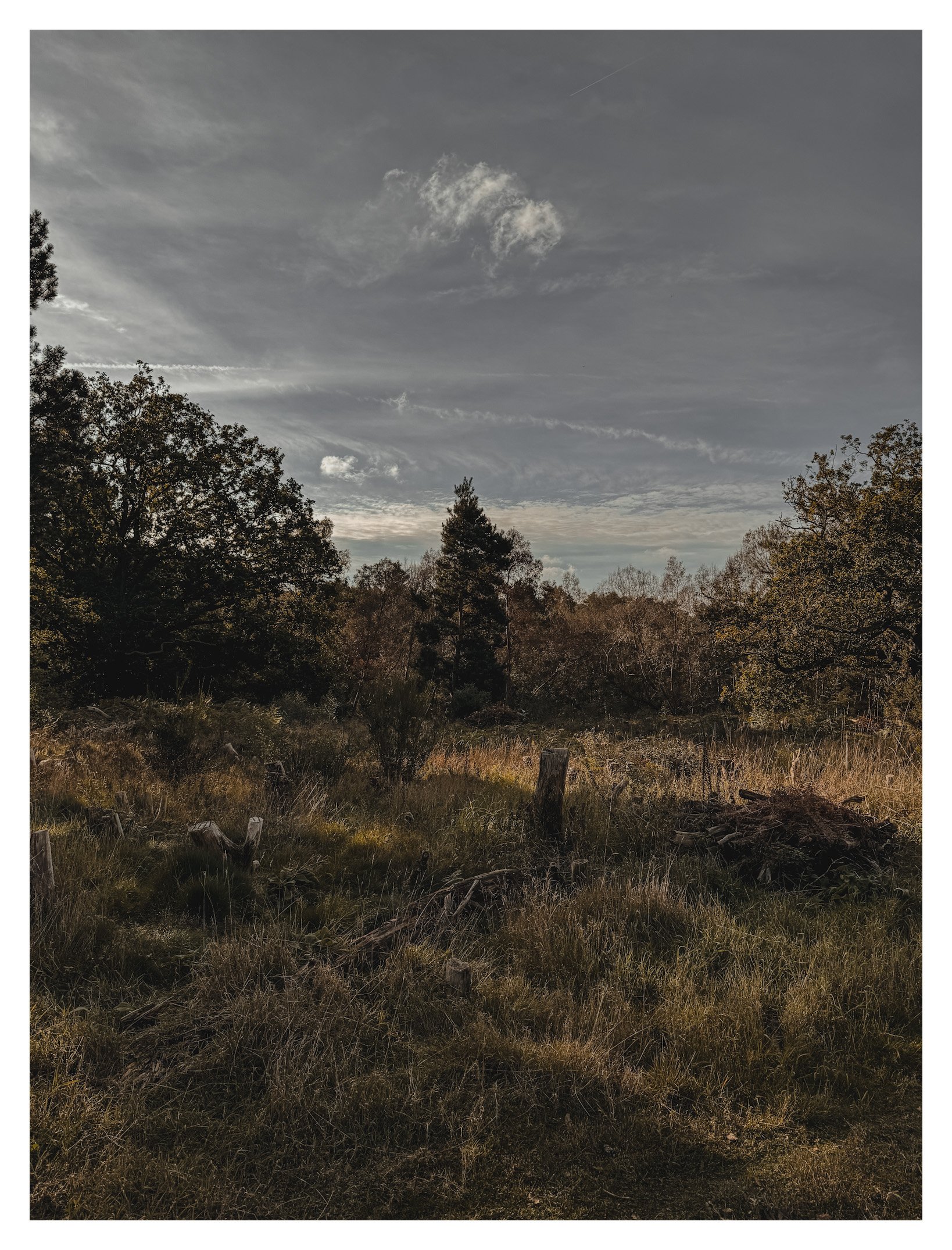 Jamie-Fraser-Photography-The Chiltern Hills-Buckinghamshire-IMG_2191.JPG