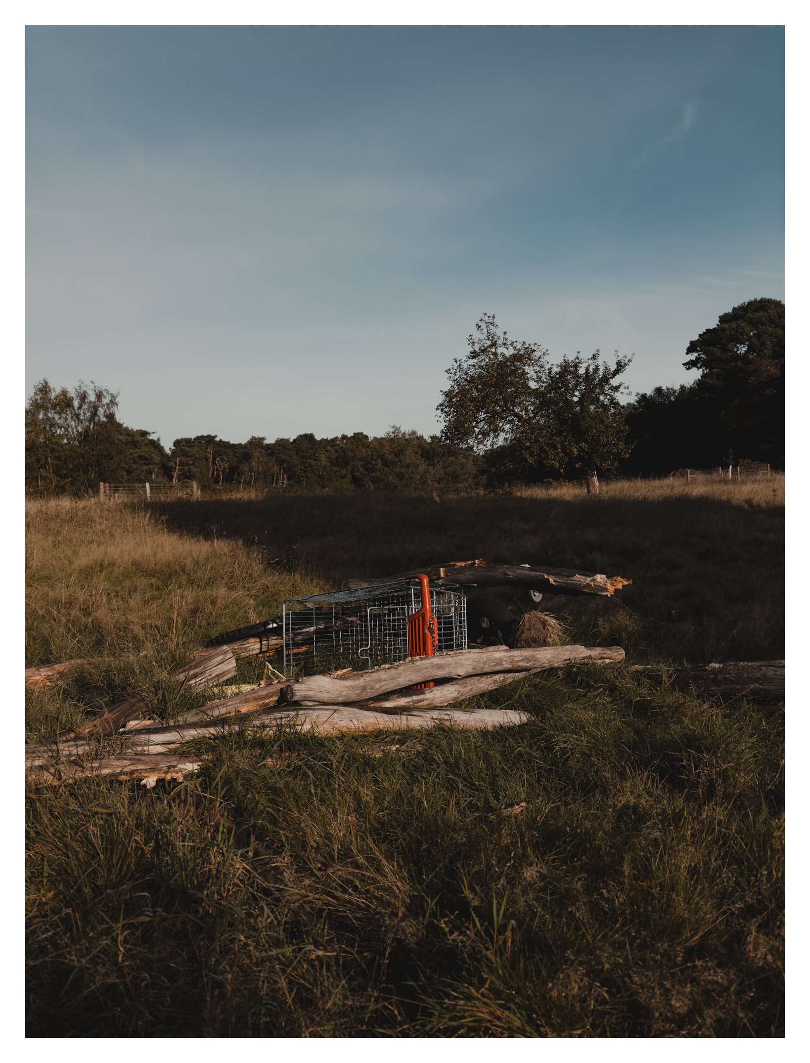 Jamie-Fraser-Photography-The Chiltern Hills-Buckinghamshire-IMG_2208.JPG