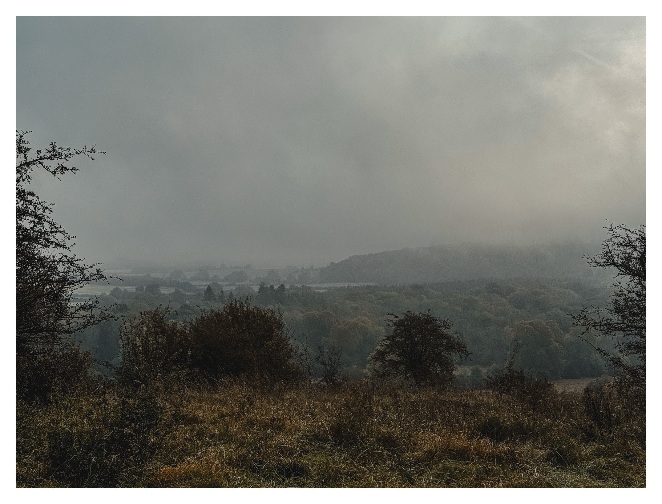 Jamie-Fraser-Photography-The Chiltern Hills-Buckinghamshire-IMG_2735.JPG