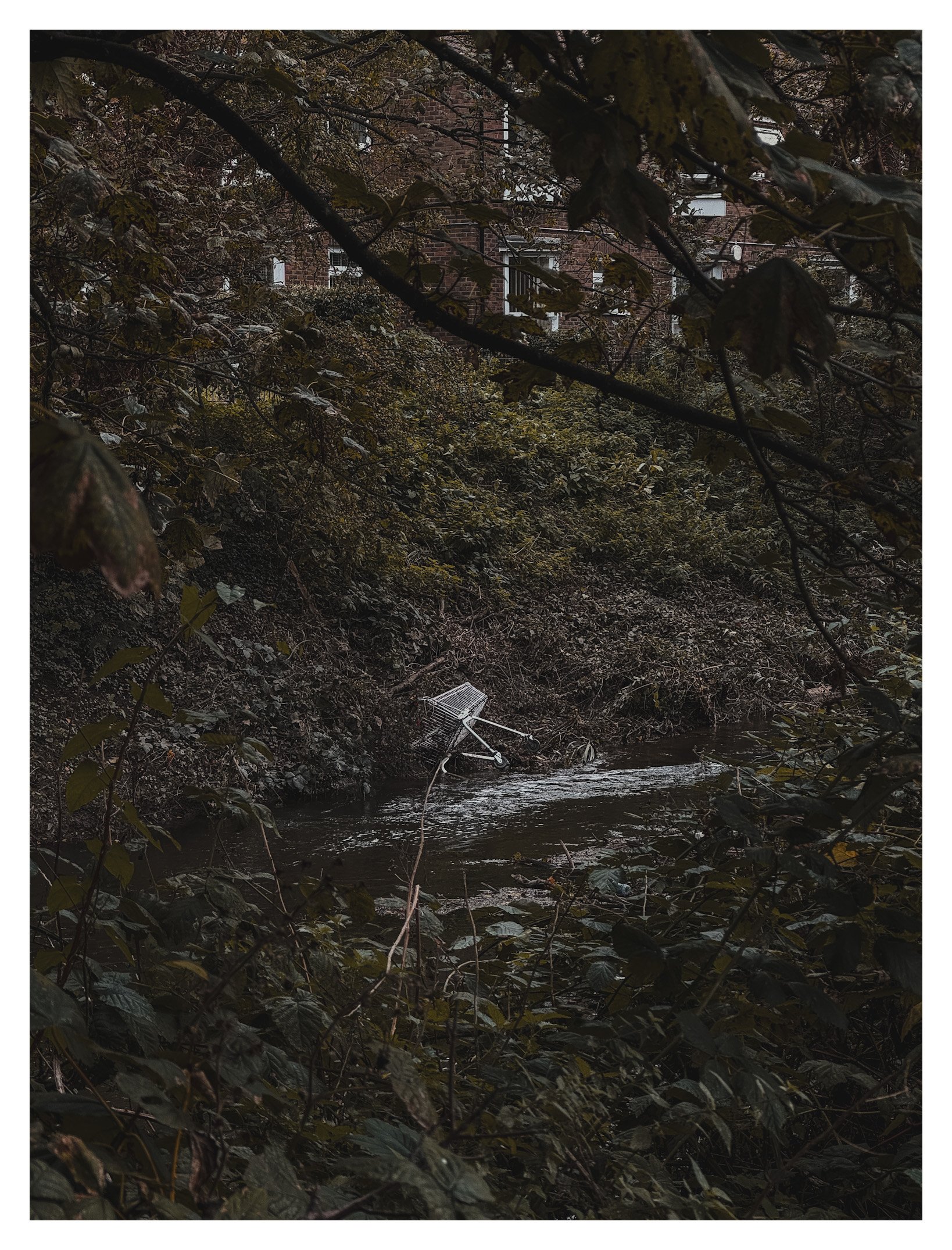 Jamie-Fraser-Photography-The Chiltern Hills-Buckinghamshire-IMG_2747.JPG
