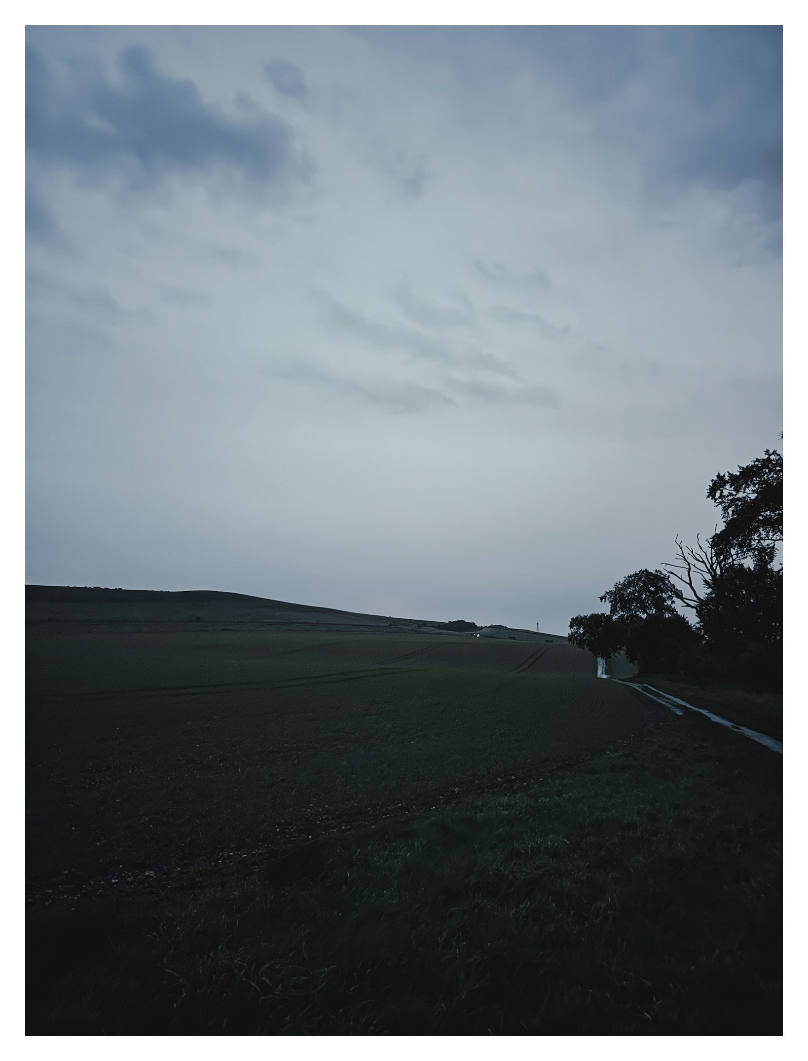 Jamie-Fraser-Photography-The Chiltern Hills-Buckinghamshire-IMG_3874.JPG