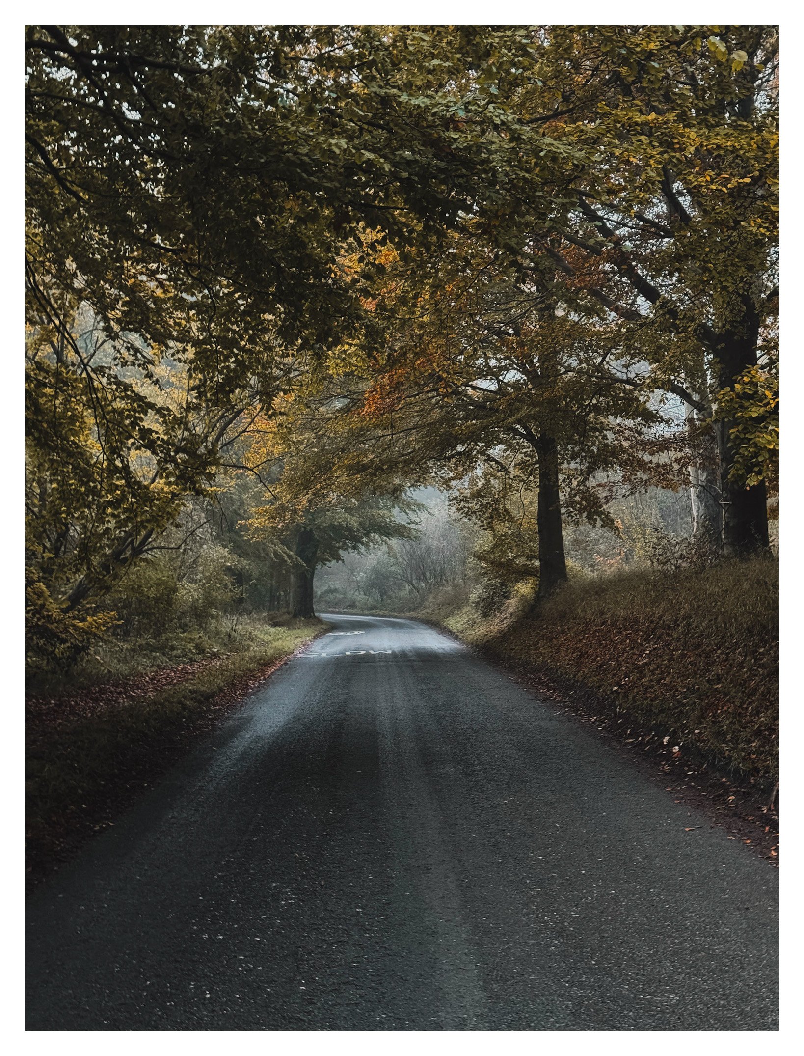 Jamie-Fraser-Photography-The Chiltern Hills-Buckinghamshire-IMG_3879.JPG
