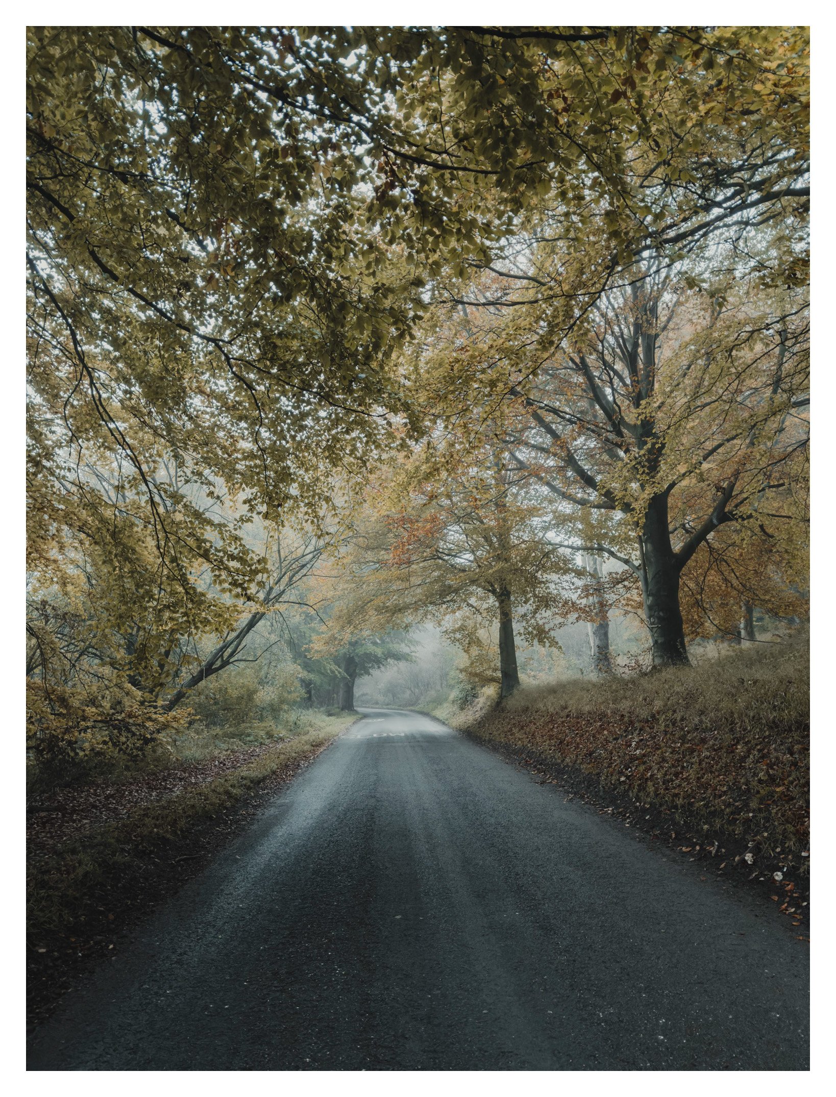Jamie-Fraser-Photography-The Chiltern Hills-Buckinghamshire-IMG_3880.JPG