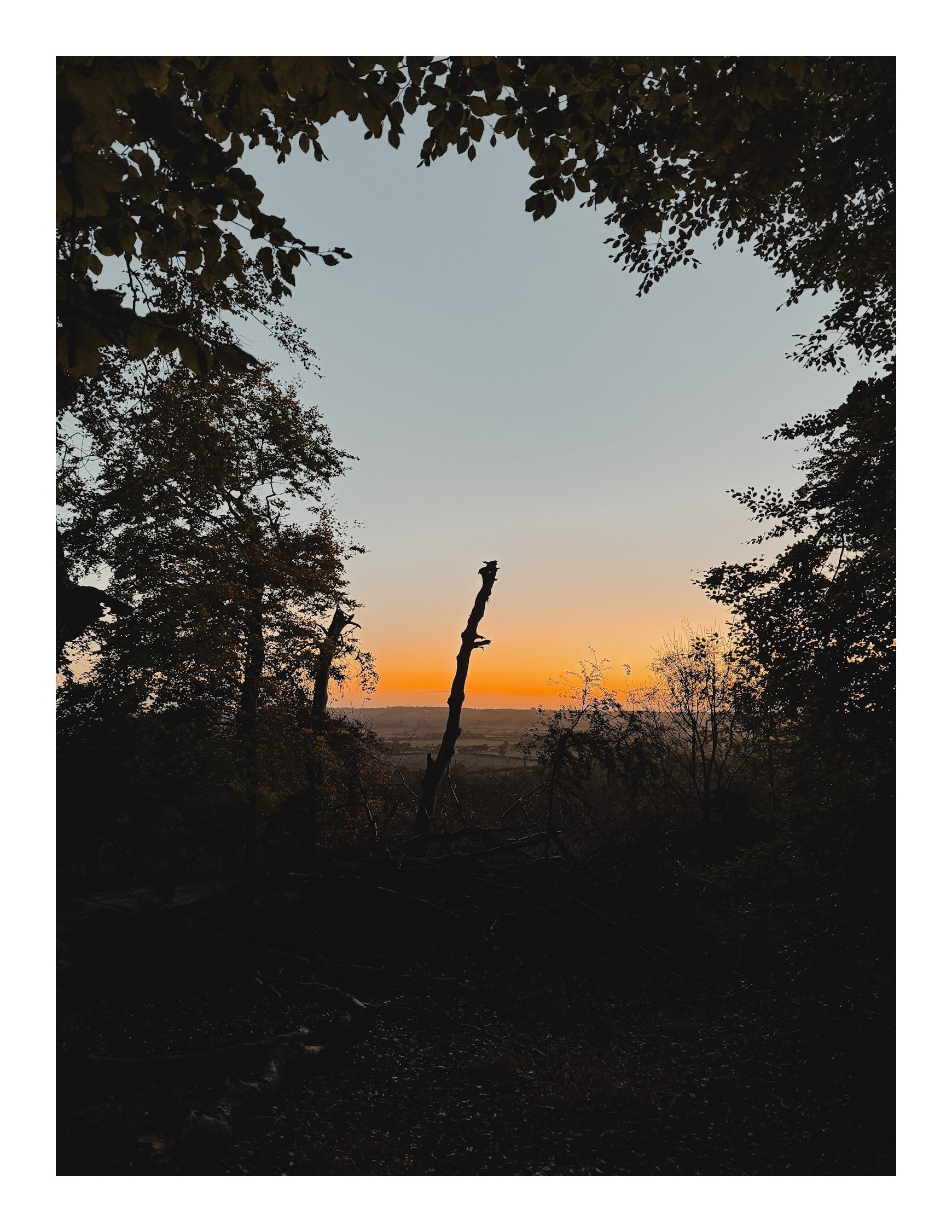 Jamie-Fraser-Photography-The Chiltern Hills-Buckinghamshire-IMG_7992.JPG