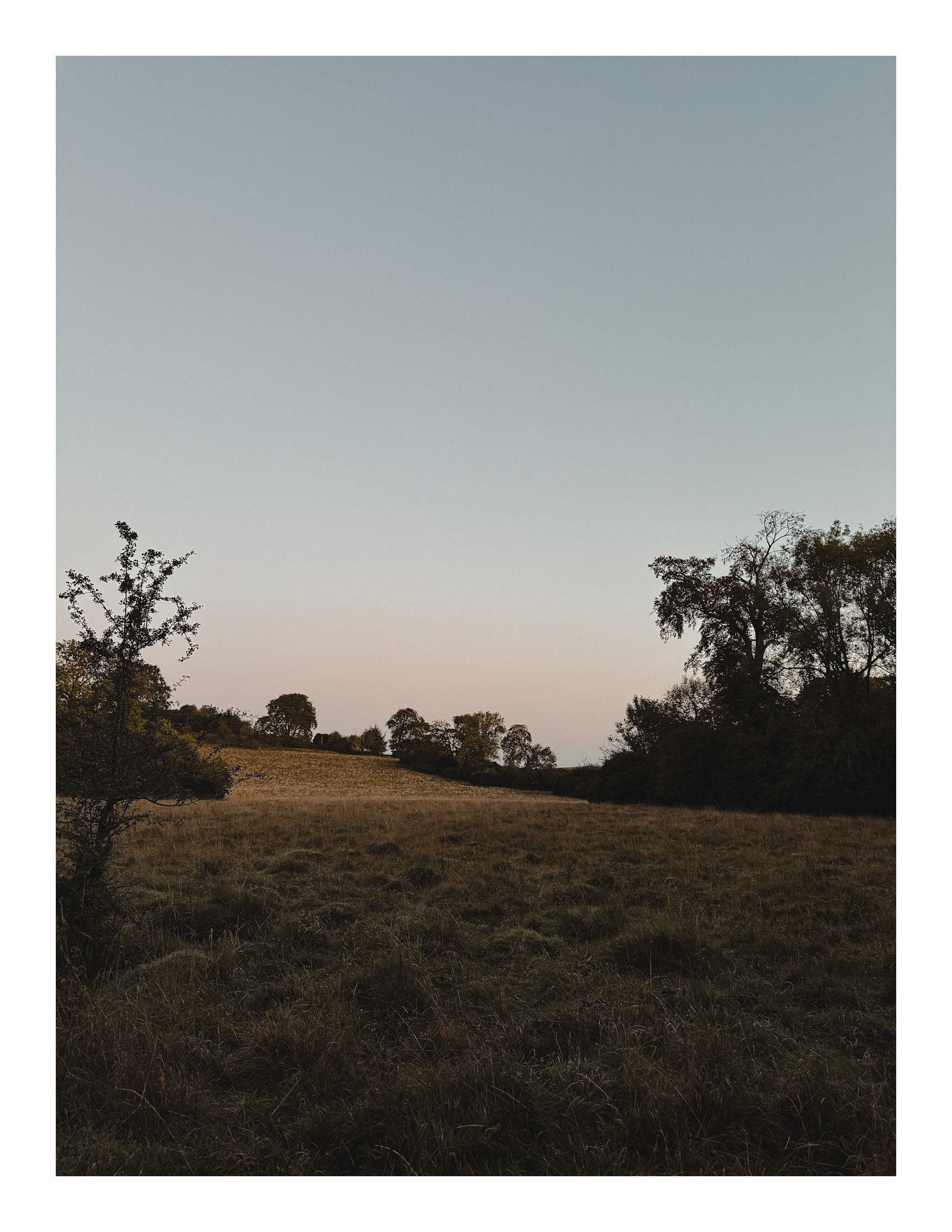 Jamie-Fraser-Photography-The Chiltern Hills-Buckinghamshire-IMG_7994.JPG