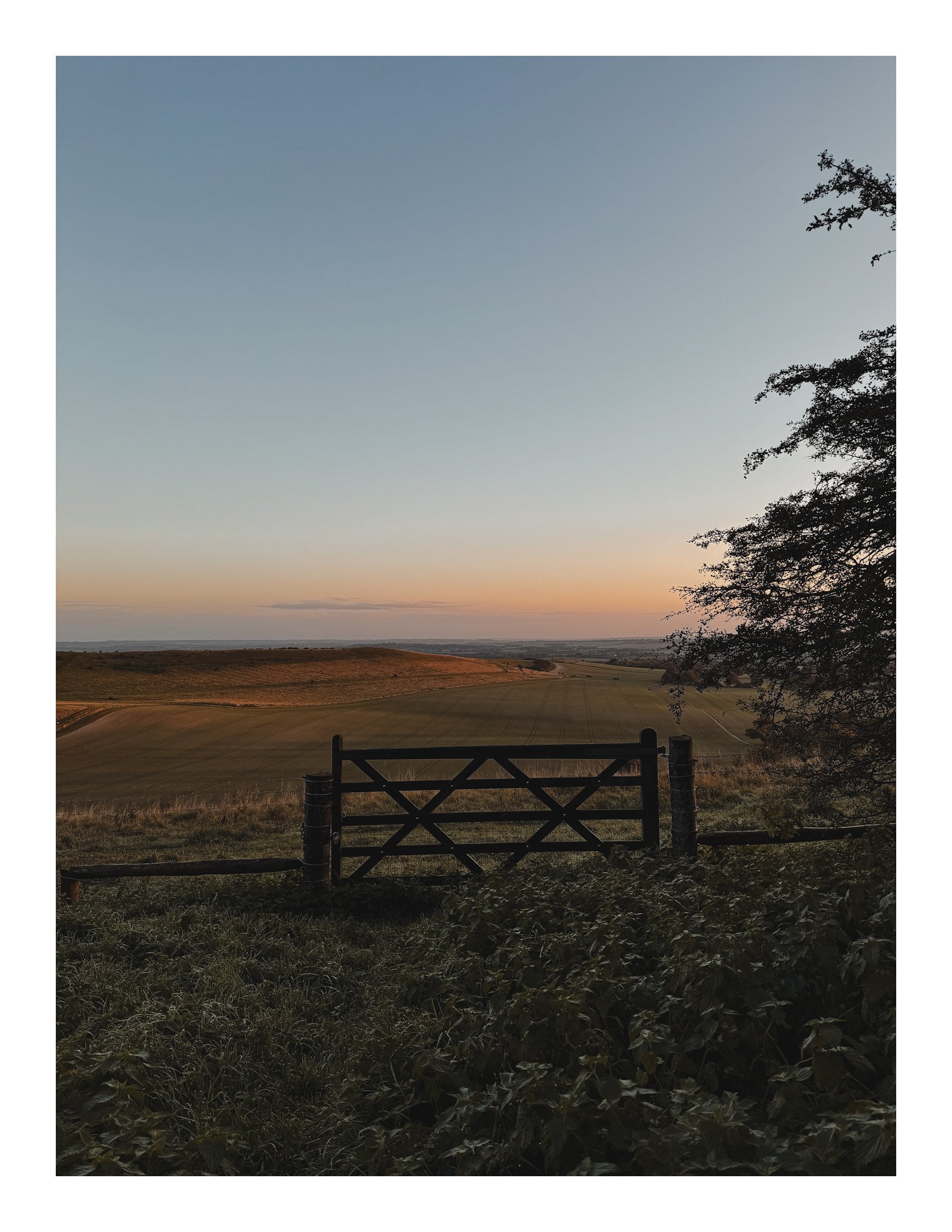 Jamie-Fraser-Photography-The Chiltern Hills-Buckinghamshire-IMG_8003.JPG