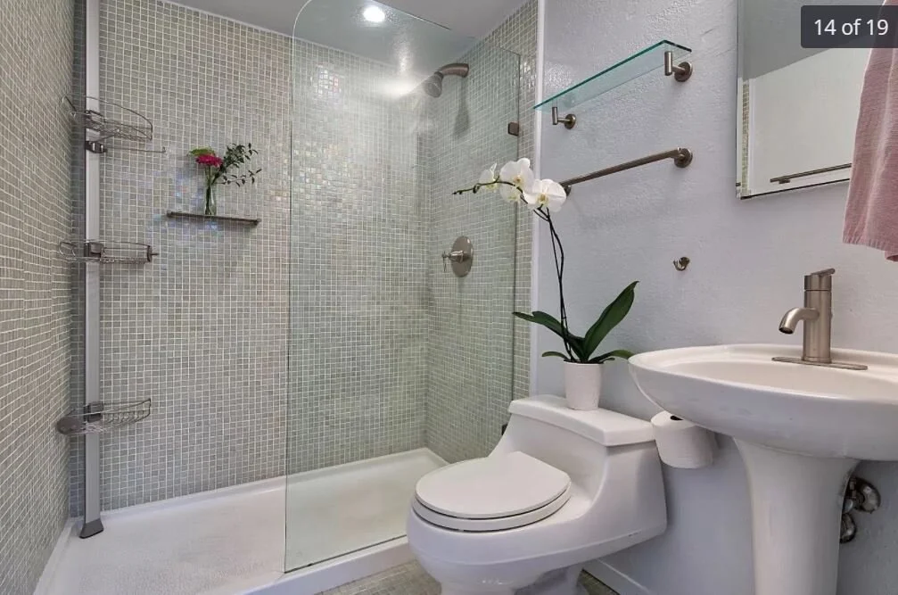 242.JPG