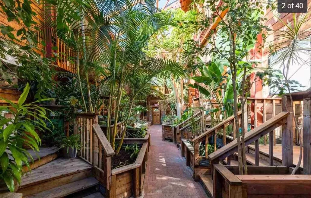 Splurge a Little Saturday