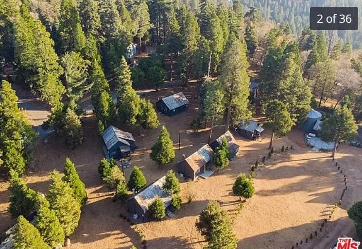 115.JPG