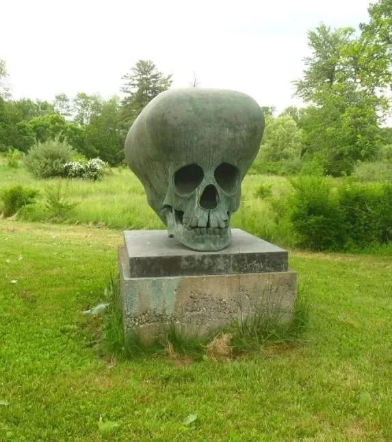 47.JPG