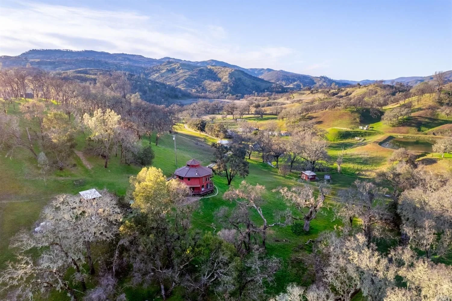 36.jpg