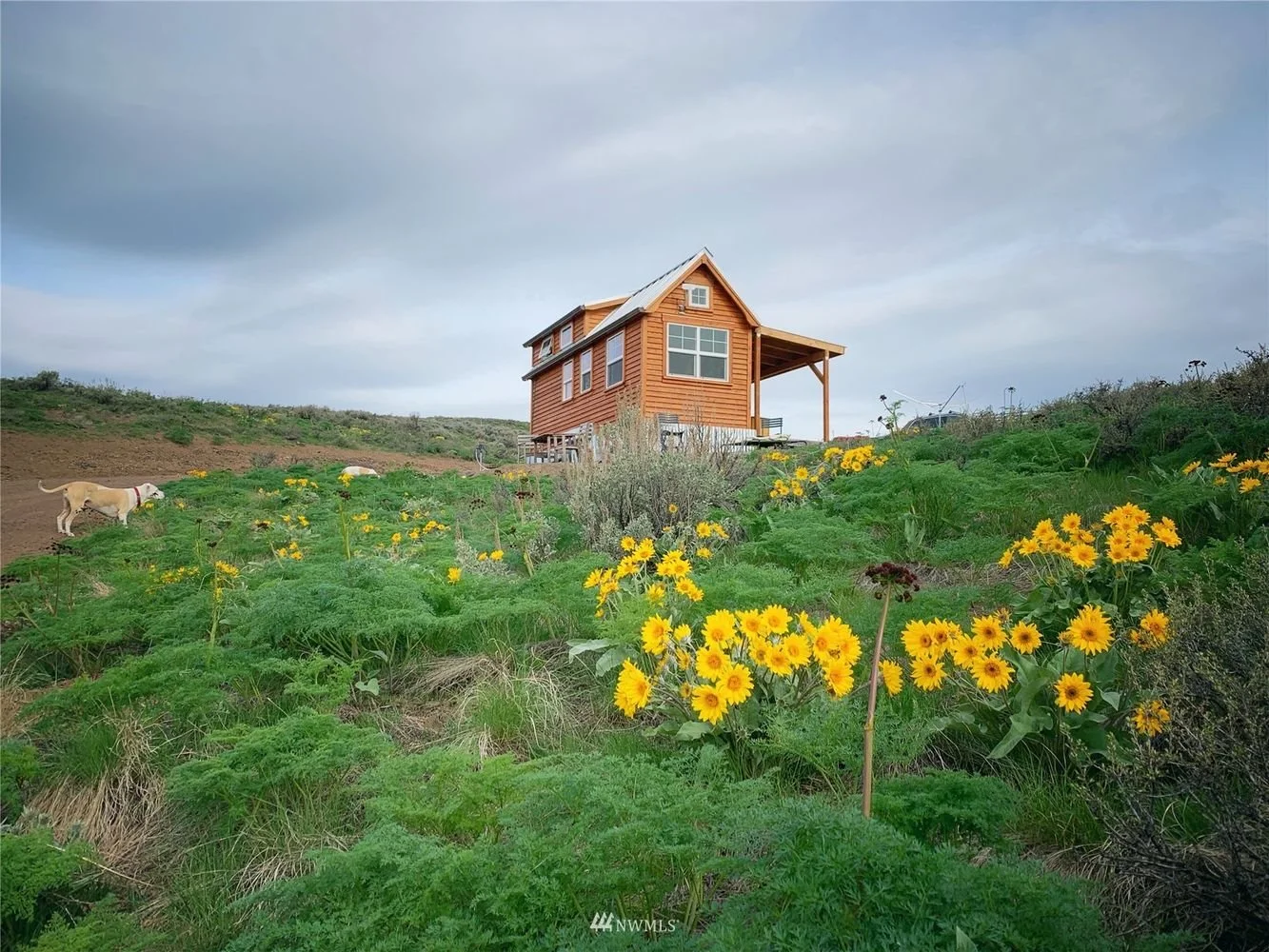 20 Acres in Winthrop, WA - $499,000