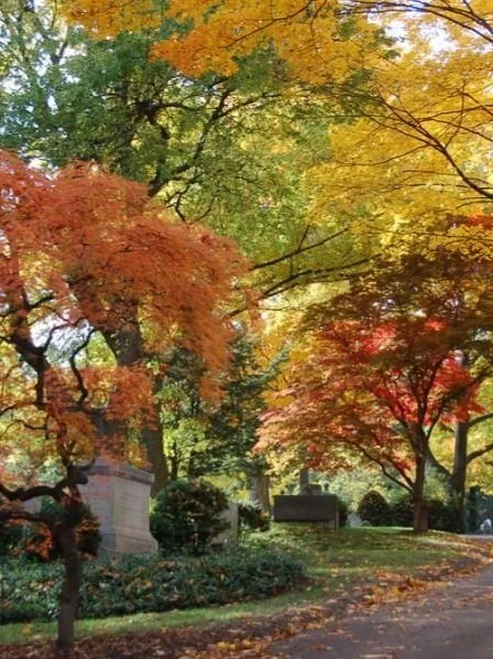 Mount Auburn Cemetery