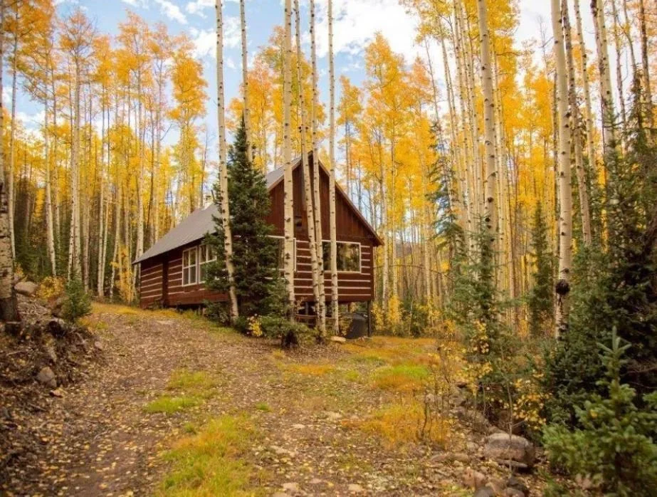 3 Off Grid Cabins for Sale