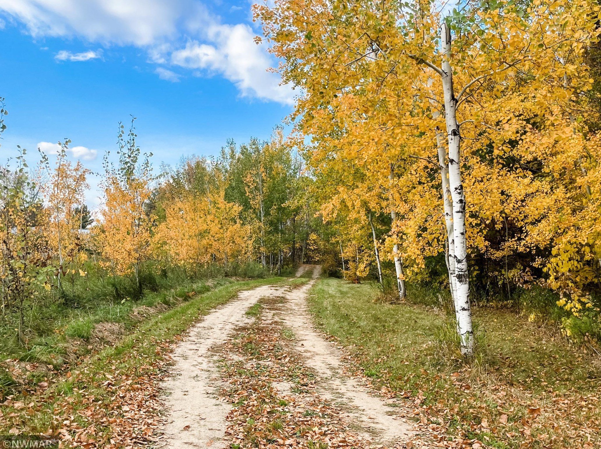 A Tiny Home on 1.65 Acres - $85,000