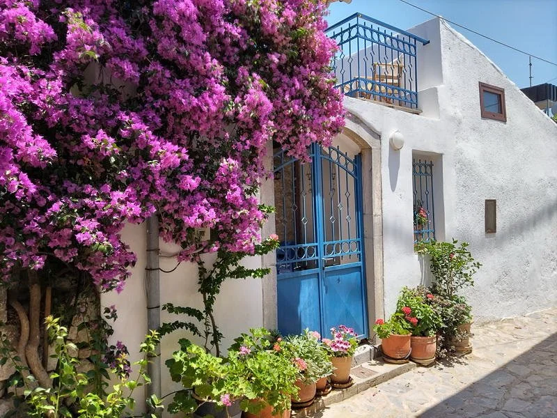 Bougainvillea &amp; Balconies - €90,000