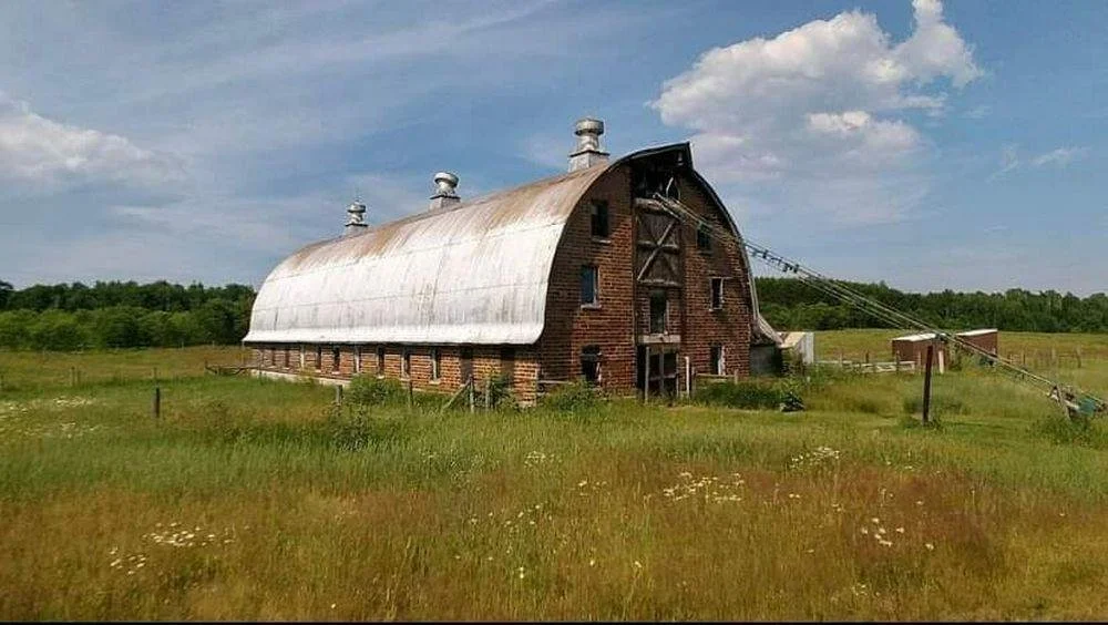 41 Acres in Harshaw, WI - $599,000