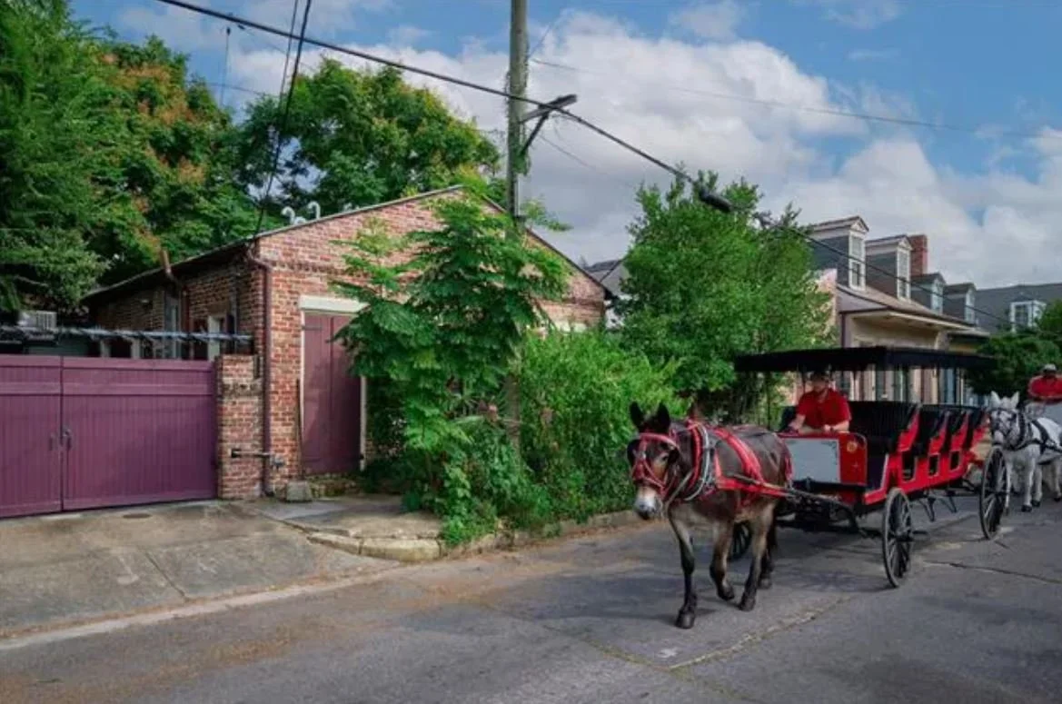 Beyond the Gate in NoLa - $1,125,000