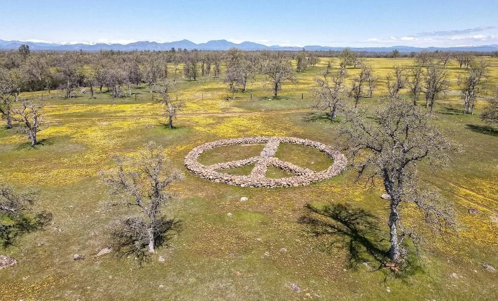 Peace, Love &amp; 20 Acres