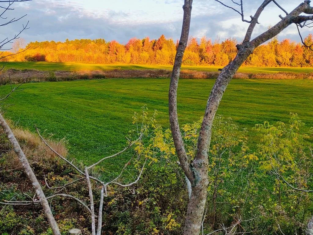 150 Acres in Mooers, NY - $329,500