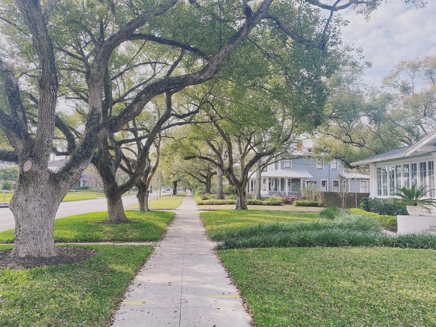 Neighborhood Spotlight: Old Seminole Heights