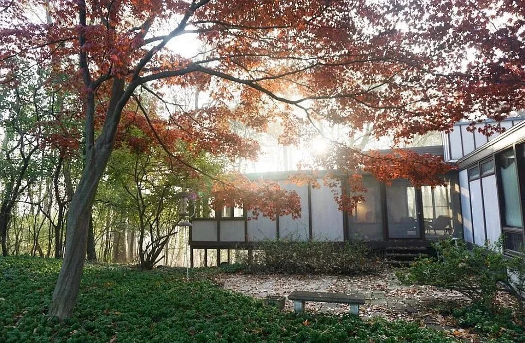 A Walk Down Memory Lane