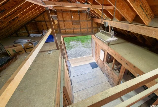 35.jpg